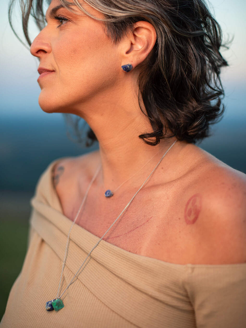 Focus Scapular: Sodalite and Octahedral Fluorite