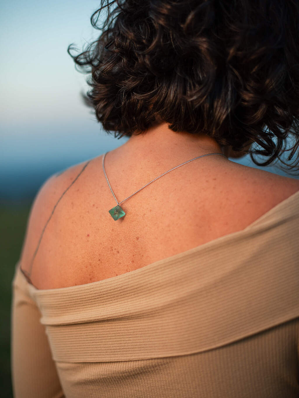 Focus Scapular: Sodalite and Octahedral Fluorite